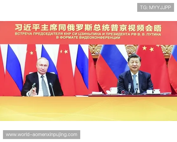 新普京电脑版官网首页界面布局与操作流程详细说明