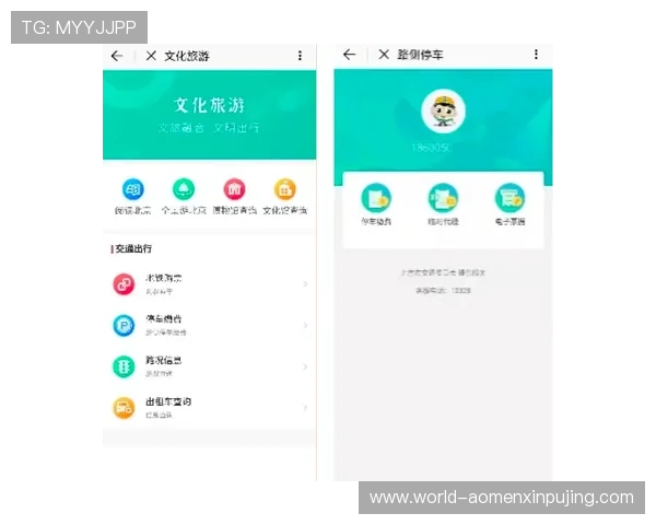 葡京app登录入口全面解析确保玩家快速安全登录平台享受丰富游戏内容